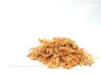 Sphagnum moha 