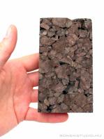 Tillandsia parafa 3db - epifita lap csomag 02.