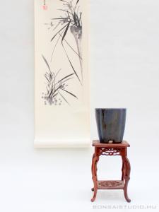 Bonsai kieg&eacute;sz&iacute;tő szett 02.