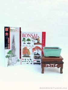 Bonsai kieg&eacute;sz&iacute;tő szett 03.