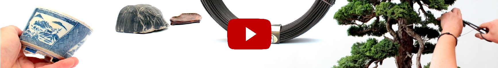 marczika bonsai stuio magazin hungary bonsai video erd