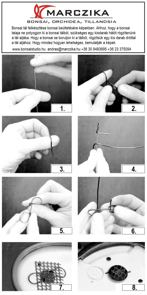 akadama bonsai fold bonsaj atultetesehez a marczika kerteszet erdi kinalatabol