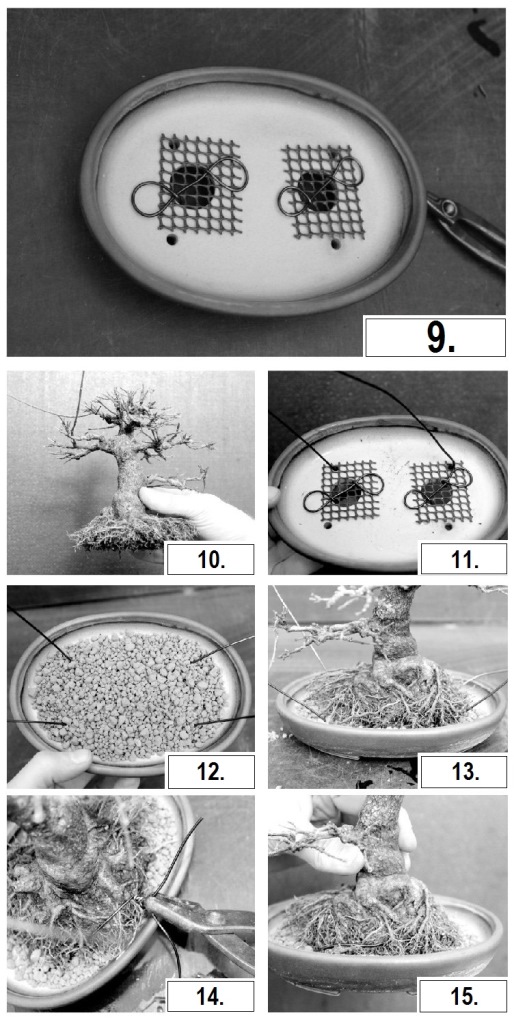 akadama bonsai fold bonsaj atultetesehez a marczika kerteszet erdi kinalatabol