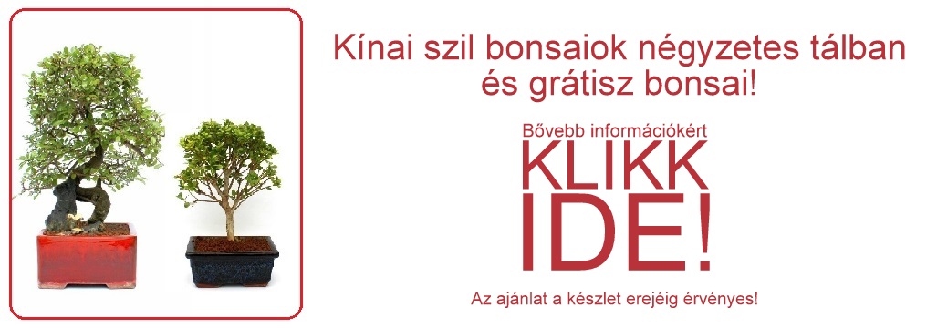 bonsai ajandek csomagok bonsai ajandek otletek bonsai vasarlasi lehetoseg a marczika bonsai studio webaruhaza bol